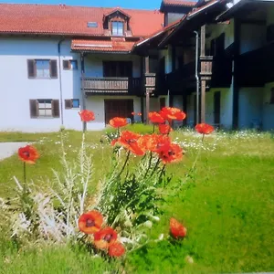 Apartment Chrysantihof - 231, Zwiesel
